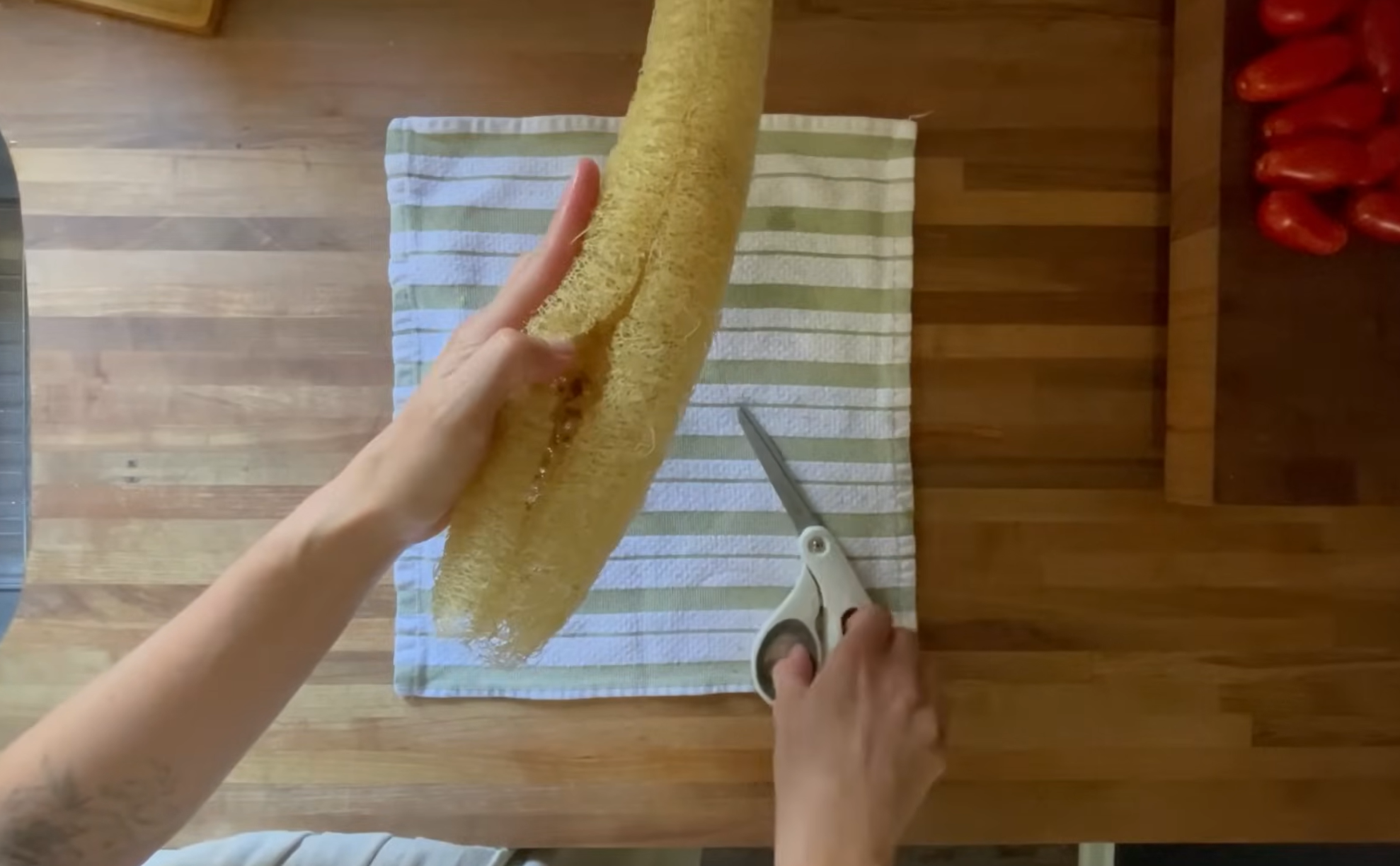 How I Make Sponges From LUFFA Grown In My BACKYARD! Tutorial - Homemade Gift Ideas!